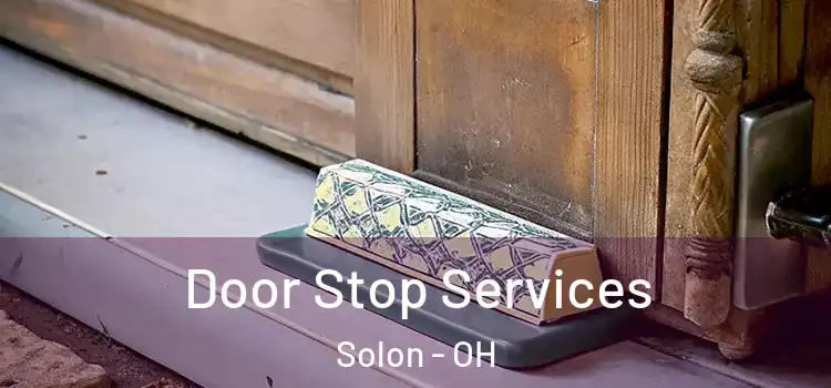 Door Stop Services Solon - OH